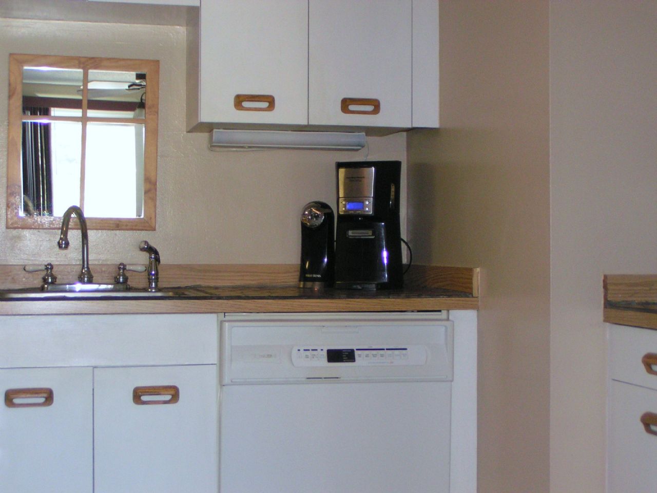 stainless sink/goose neck faucet and sprayer